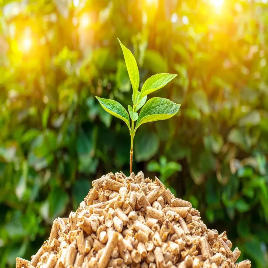 Forest Leaves Pellets Wholesaler Dubai